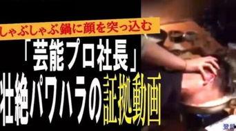 爆料日本娱乐公司,独家爆料背后的惊人内幕